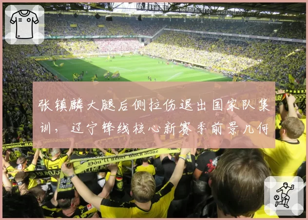 张镇麟大腿后侧拉伤退出国家队集训,辽宁锋线核心新赛季前景几何?