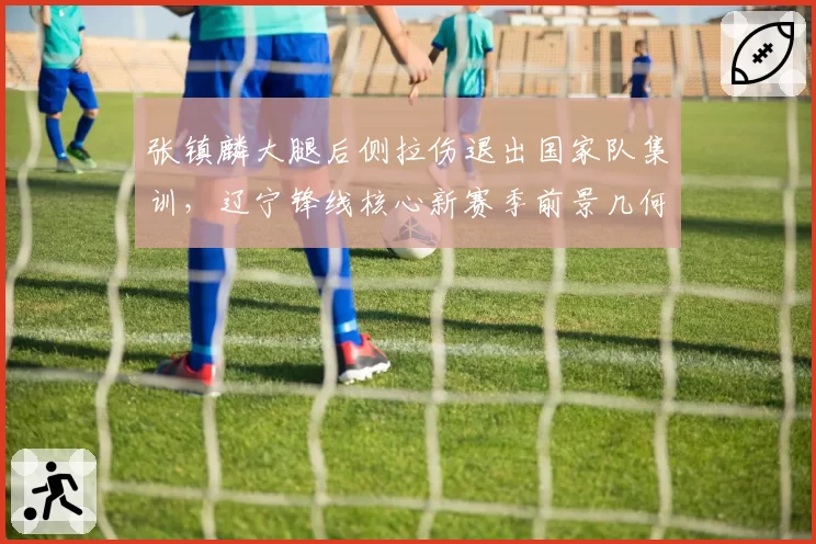 张镇麟大腿后侧拉伤退出国家队集训,辽宁锋线核心新赛季前景几何?